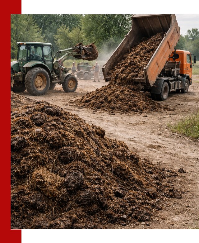 Доставка навоза самосвалами в Подольске для сельхозпотребностей